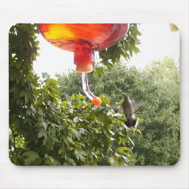 Hummingbird 2, Mousepad (Vorne)