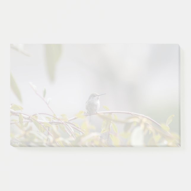 Hummingbird 3346 post-it klebezettel (Vorderseite)