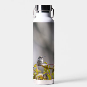 Hummingbird 3346 trinkflasche