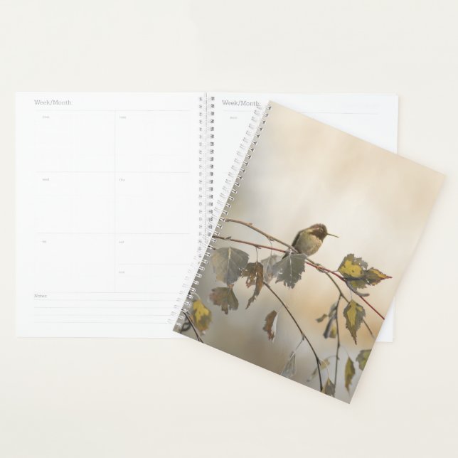 Hummingbird 5265 planer (Anzeige)
