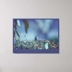 Hummingbird 5738 leinwanddruck
