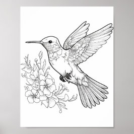 Hummingbird Adult Coloring Poster