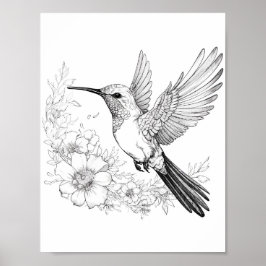 Hummingbird Adult Coloring Poster