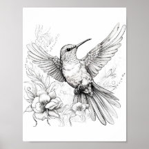 Hummingbird Adult Coloring