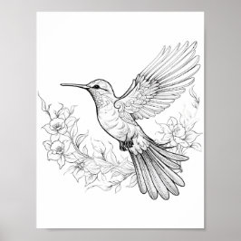 Hummingbird Adult Coloring Poster