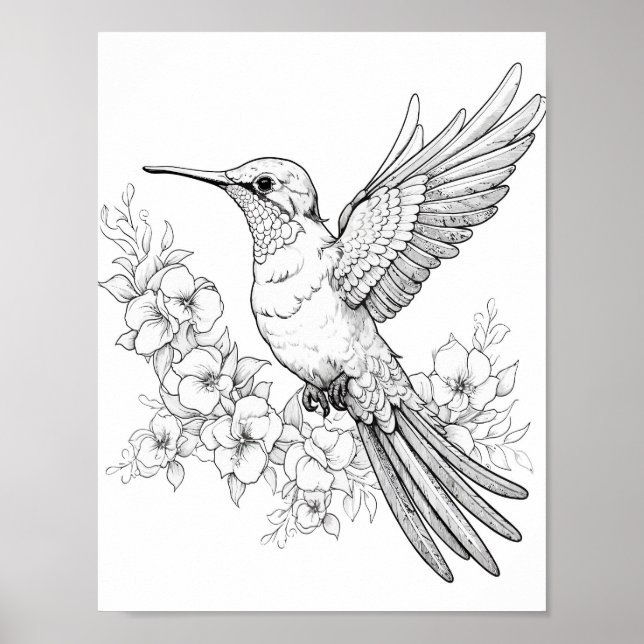 Hummingbird Adult Coloring Poster (Vorne)