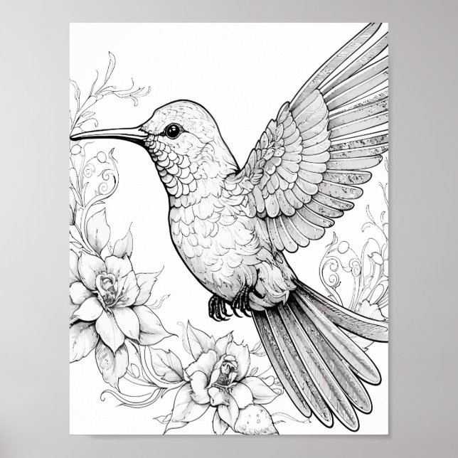 Hummingbird Adult Coloring Poster (Vorne)