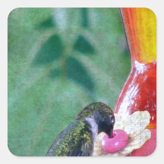 Hummingbird am Feeder Quadratischer Aufkleber (Vorderseite)