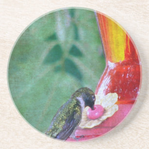 Hummingbird am Feeder Sandstein Untersetzer