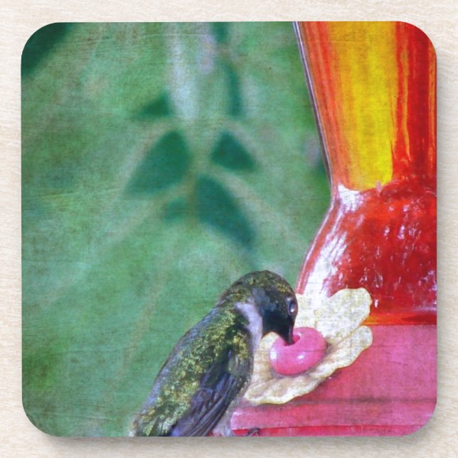 Hummingbird am Feeder Untersetzer (Vorderseite)