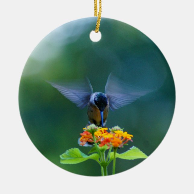 Hummingbird Angel Wings Ornament (Vorne)