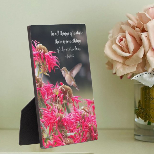 Hummingbird Aristoteles Philosophisches Zitat Fotoplatte (In Situ Angled)