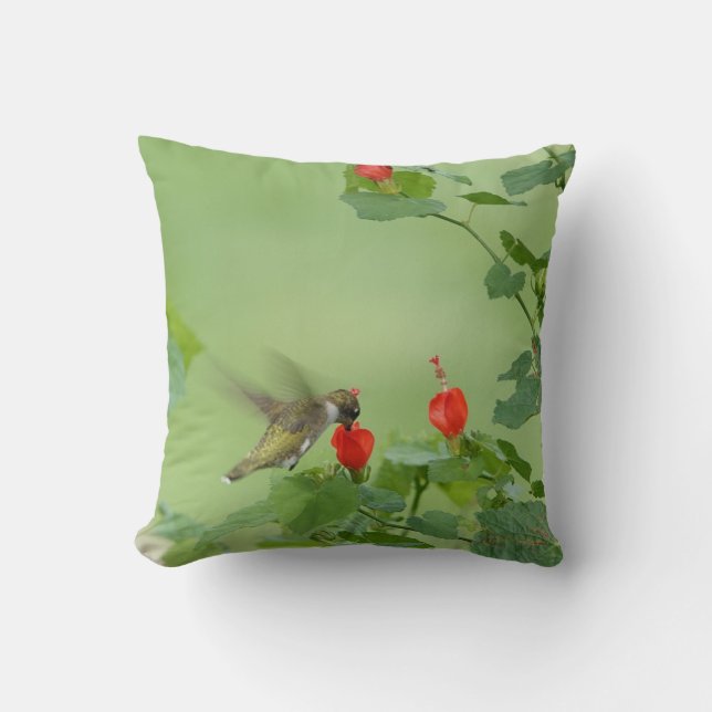 Hummingbird auf Blume Blüten, Grün Kissen (Vorderseite)