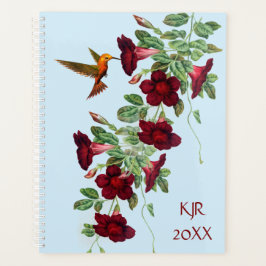 Hummingbird auf Blume von Mandevillea Planer