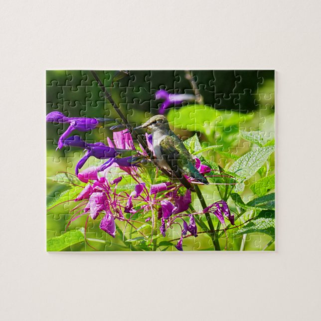 Hummingbird auf der Minze von Hummingbird (Horizontal)