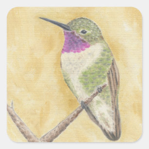 Hummingbird auf einem Aufkleber für die Verzweigun