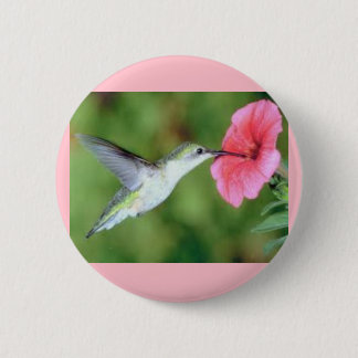 Hummingbird auf einem Round-Button Button