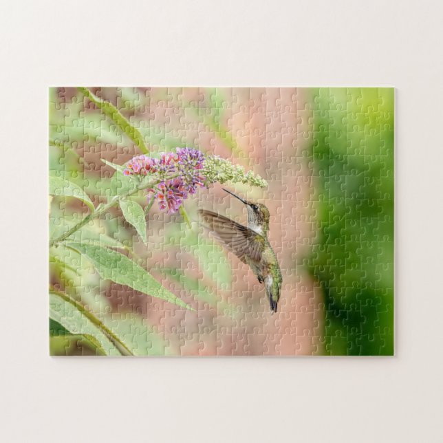 Hummingbird auf einer blühenden Pflanze (Horizontal)