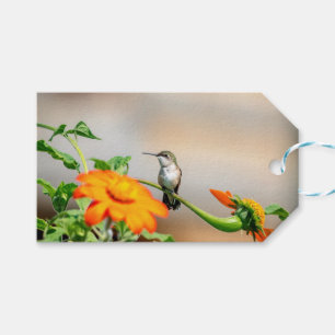 Hummingbird auf einer blühenden Pflanze Geschenkanhänger