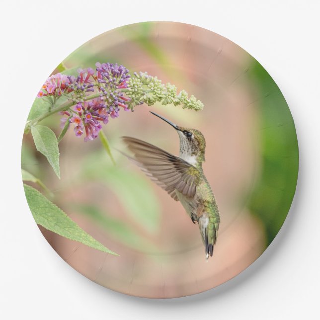 Hummingbird auf einer blühenden Pflanze Pappteller (Vorderseite)