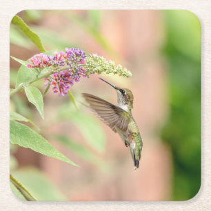 Hummingbird auf einer blühenden Pflanze Rechteckiger Pappuntersetzer