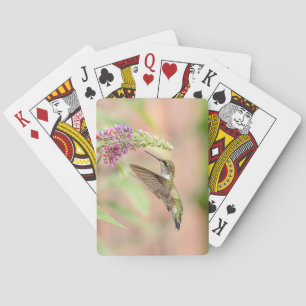 Hummingbird auf einer blühenden Pflanze Spielkarten