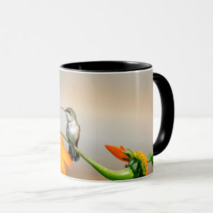 Hummingbird auf einer blühenden Pflanze Tasse