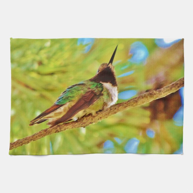 Hummingbird auf immergrün küchentuch (Horizontal)