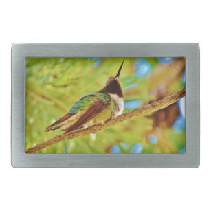 Hummingbird auf immergrün rechteckige gürtelschnalle