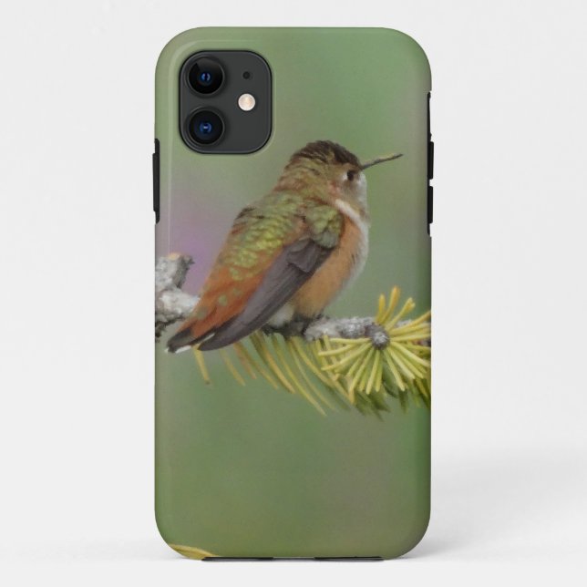 Hummingbird auf Kiefern Case-Mate iPhone Hülle (Rückseite)