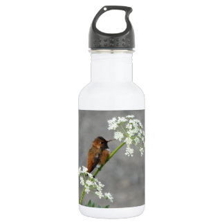 Hummingbird auf Königin Anns Spitzen-Blume Edelstahlflasche
