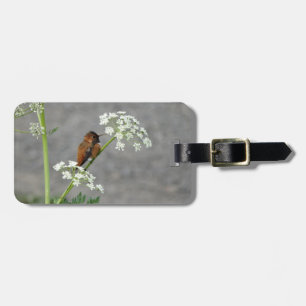 Hummingbird auf Königin Anns Spitzen-Blume Gepäckanhänger