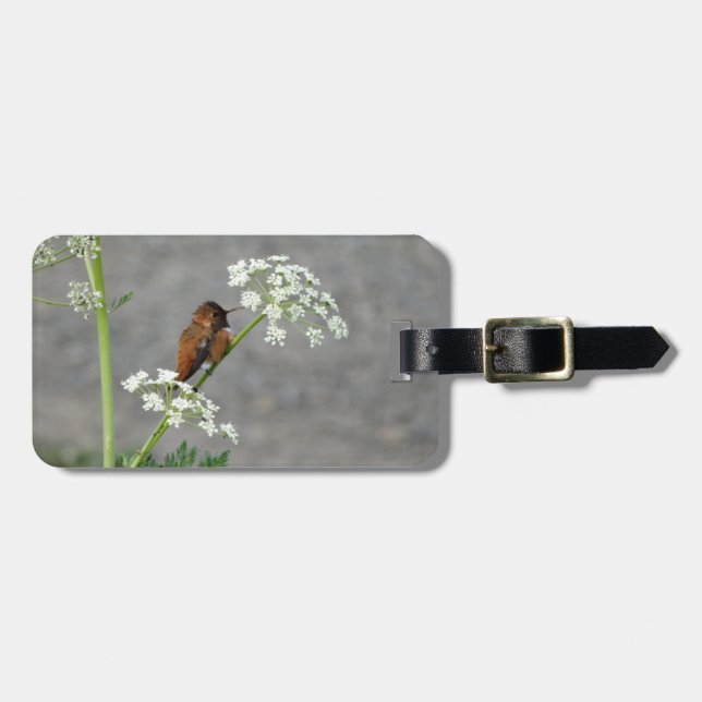 Hummingbird auf Königin Anns Spitzen-Blume Gepäckanhänger (Vorderseite horizontal)
