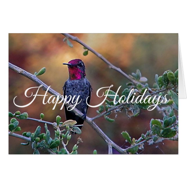 Hummingbird bei Sonnenuntergang, glückliche Ferien (Vorderseite (Horizontal))
