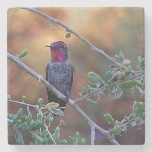 Hummingbird bei Sonnenuntergang Steinuntersetzer