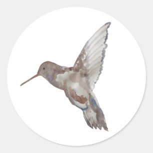 Hummingbird Bird Painting Art Runder Aufkleber