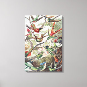 Hummingbird Bird Wildlife Classic Malerei Leinwanddruck