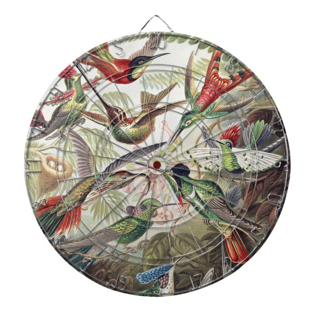 Hummingbird Bird Wildlife Classic Painting Dartscheibe (vorne)