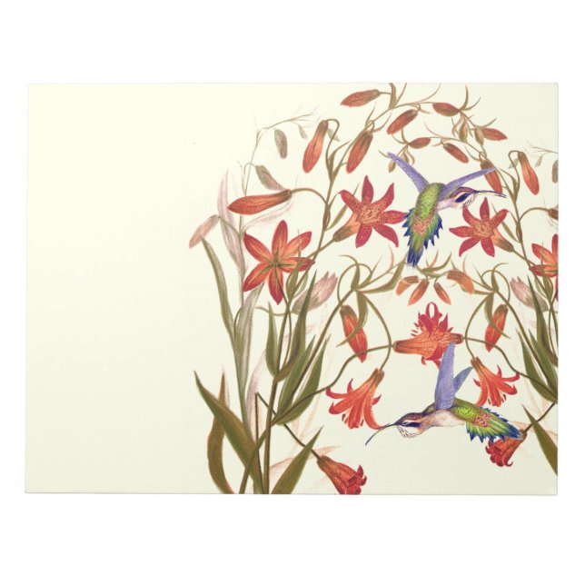 Hummingbird Birds Blume Floral Wildlife Notizblock (Vorderseite)