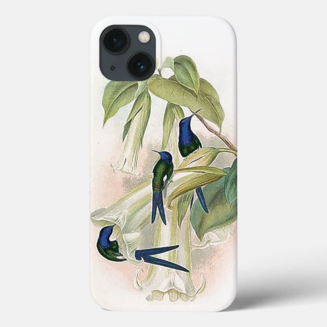 Hummingbird Birds iPhone 6 Fall Case-Mate iPhone Hülle (Rückseite)