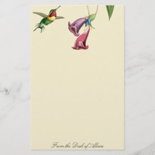 Hummingbird Birds Wildlife Animals Stationierung Briefpapier