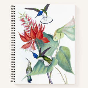 Hummingbird Birds Wildlife Floral Spiral Notebook Notizbuch