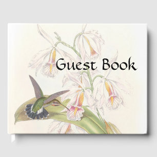 Hummingbird Birds Wildlife Flowers Livre d'or