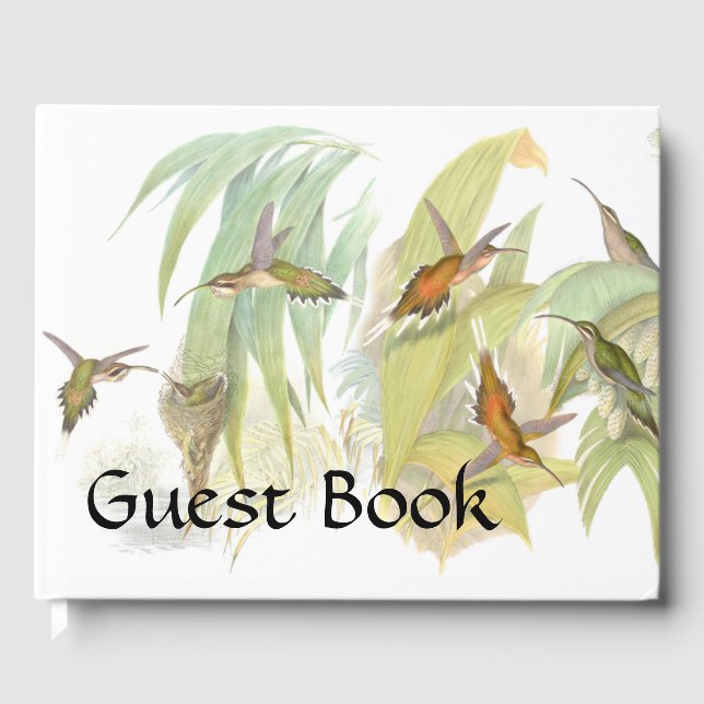 Hummingbird Birds Wildlife Nest Livre d'invité (Recto)