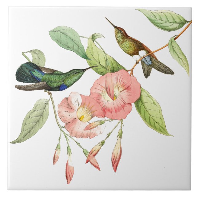 Hummingbird Birnen Rosa Blume Keramik Tile Fliese (Vorderseite)