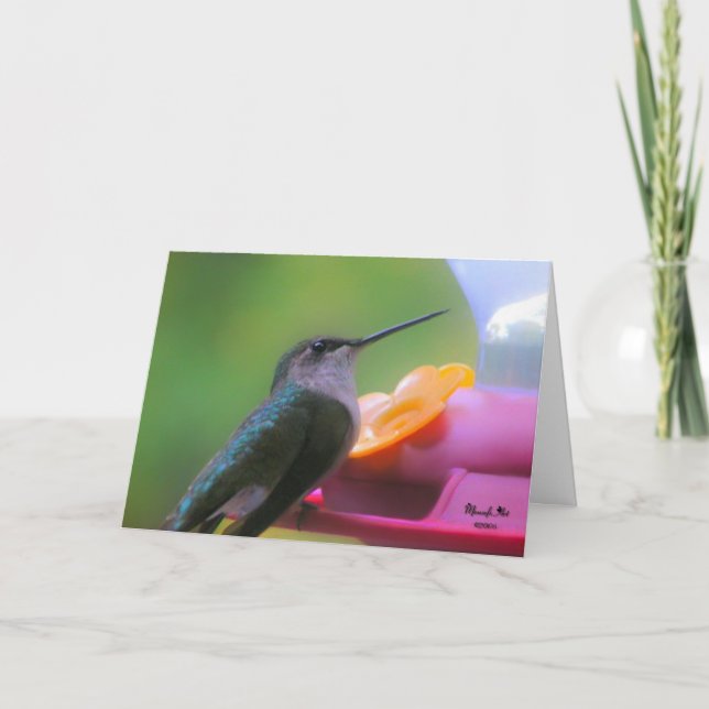Hummingbird Birthday Card Karte (Vorderseite)