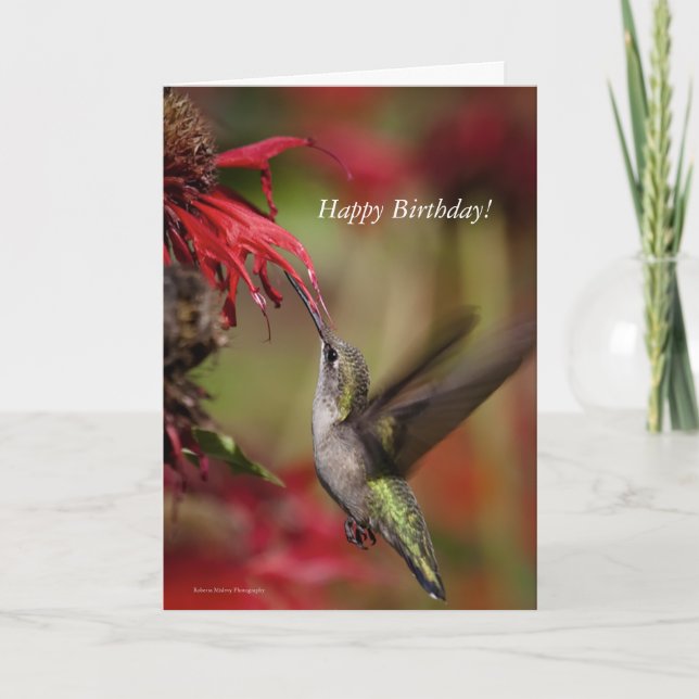 Hummingbird Birthday Card Karte (Vorderseite)