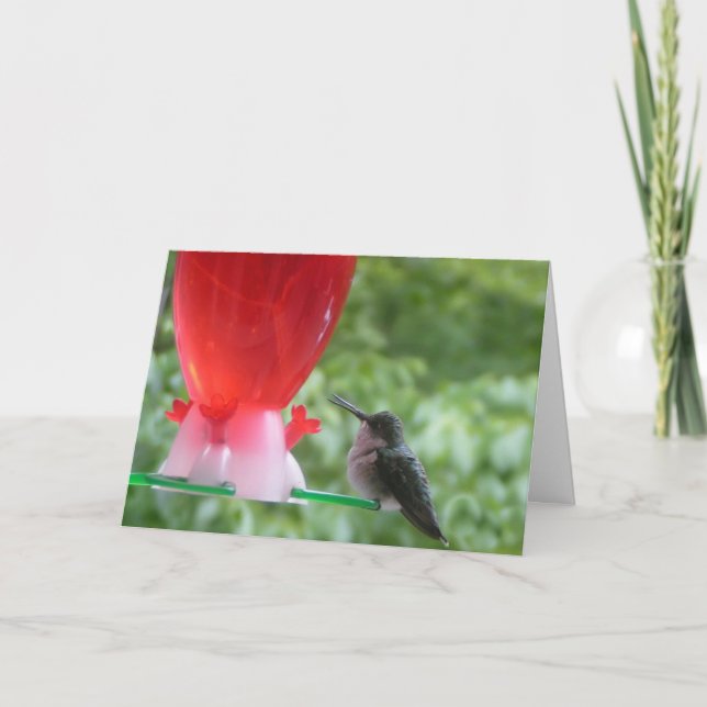 Hummingbird Birthday Card Karte (Vorderseite)
