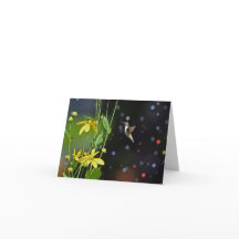 Hummingbird Blank Grußkarte