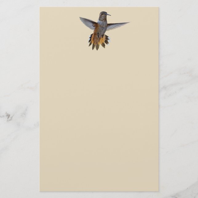 HUMMINGBIRD BRIEFPAPIER (Vorderseite)